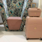 Delsey Paris Chatelet Air 2.0 बैग का चित्र