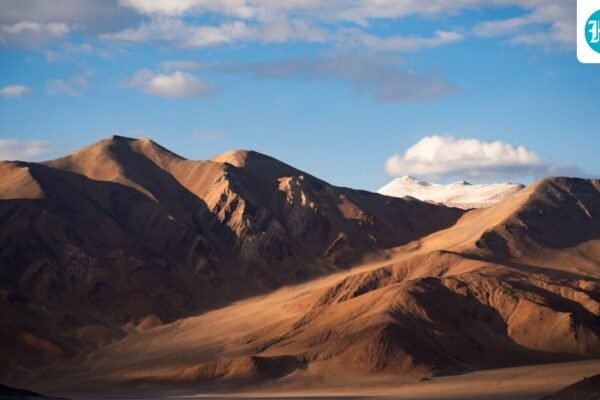 लद्दाख में वन्यजीव सफारी और पक्षी अवलोकन की ट्रेनिंग